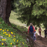 Again and again Autschli hides on the way...