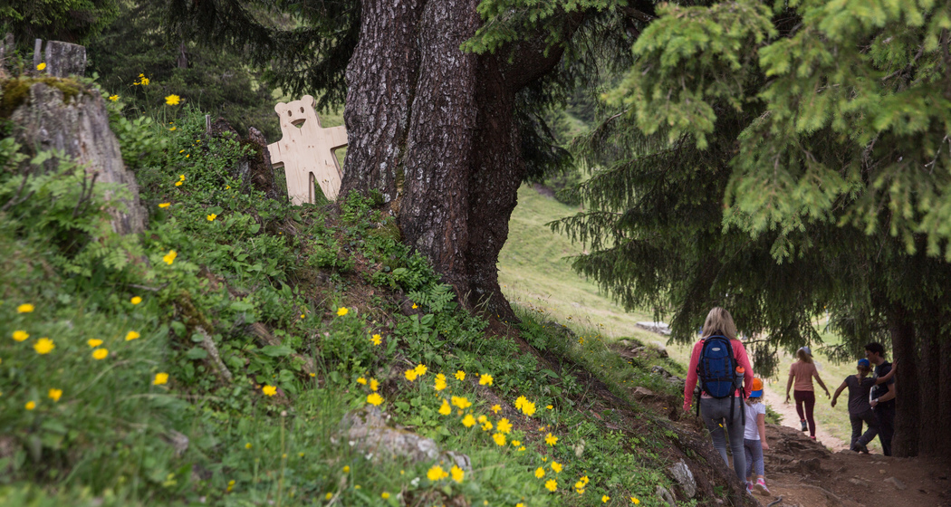 immer wieder versteckt sich Autschli auf dem Weg...