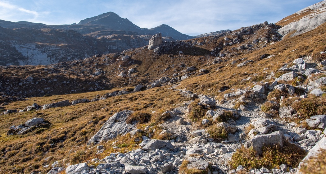 Senda panoramica | Flims - Naraus - Alp Nagens 1N (oua_34448551_image)