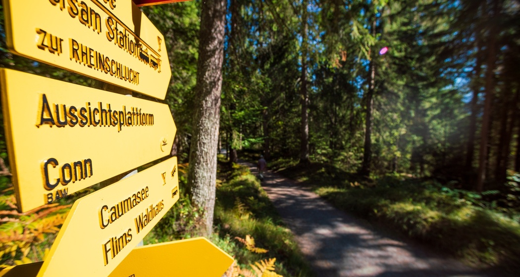 4-Seen-Wanderung: Caumasee - Crestasee - Felsbachschlucht (oua_34448808_image)