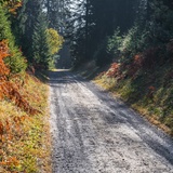 Waldwanderung: Staderas - Salums - Staderas (oua_34448916_image)