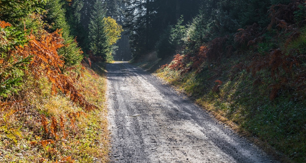 Waldwanderung: Staderas - Salums - Staderas (oua_34448916_image)