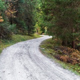 Waldwanderung: Staderas - Salums - Staderas (oua_34448918_image)