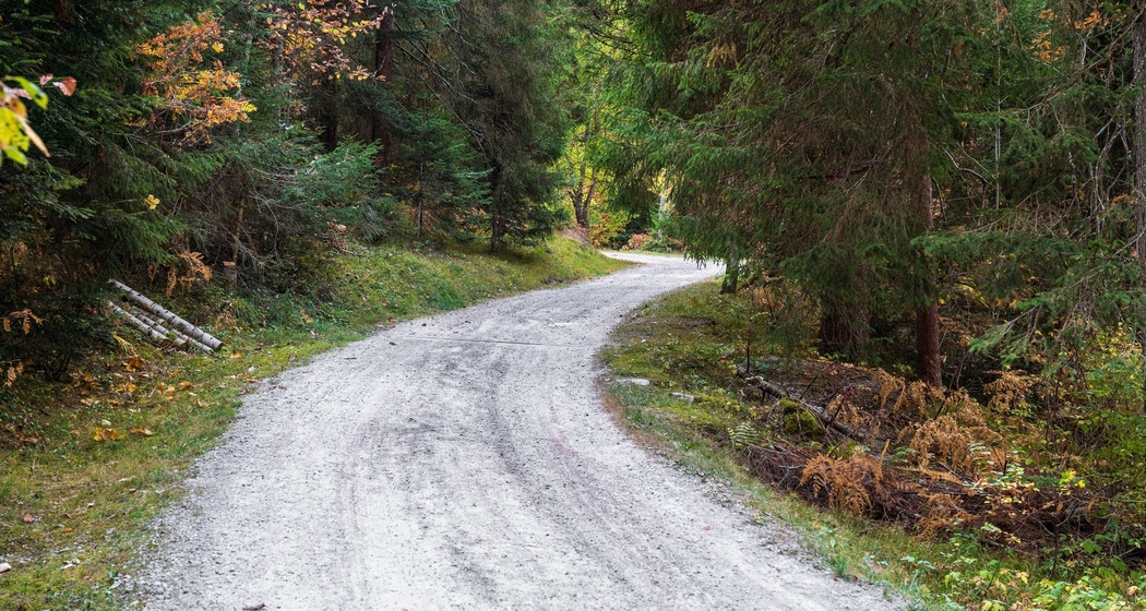 Waldwanderung: Staderas - Salums - Staderas (oua_34448918_image)