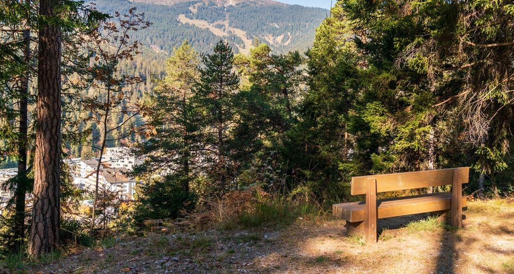 Waldwanderung: Staderas - Salums - Staderas (oua_34448959_image)