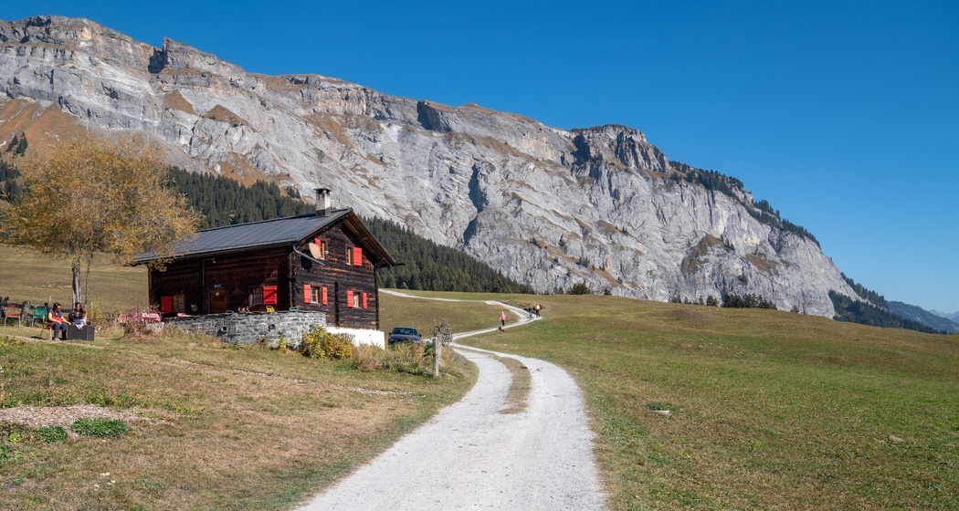 Höhenweg Foppa - Scheia - Fidaz - Flims