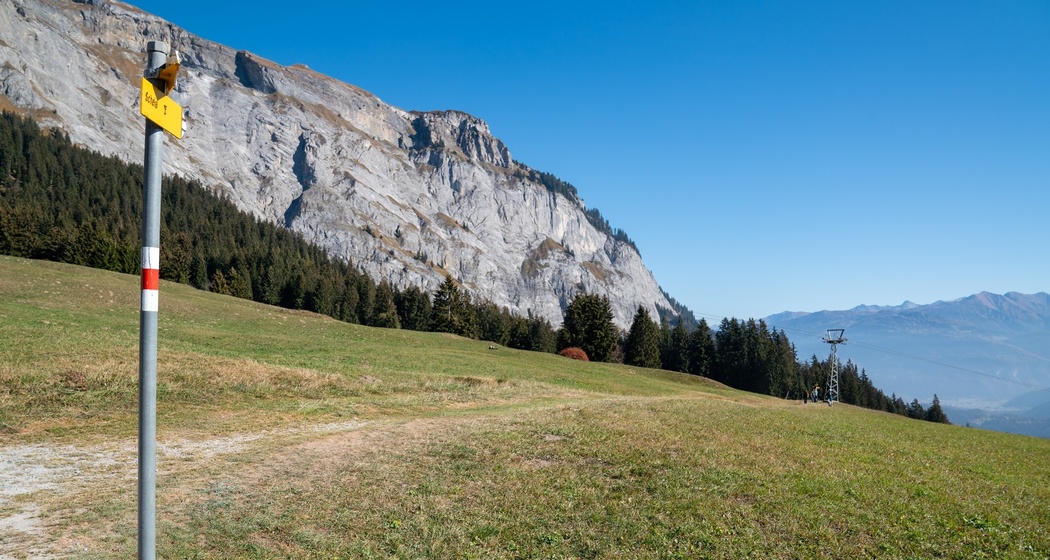 Höhenweg Foppa - Scheia - Fidaz - Flims