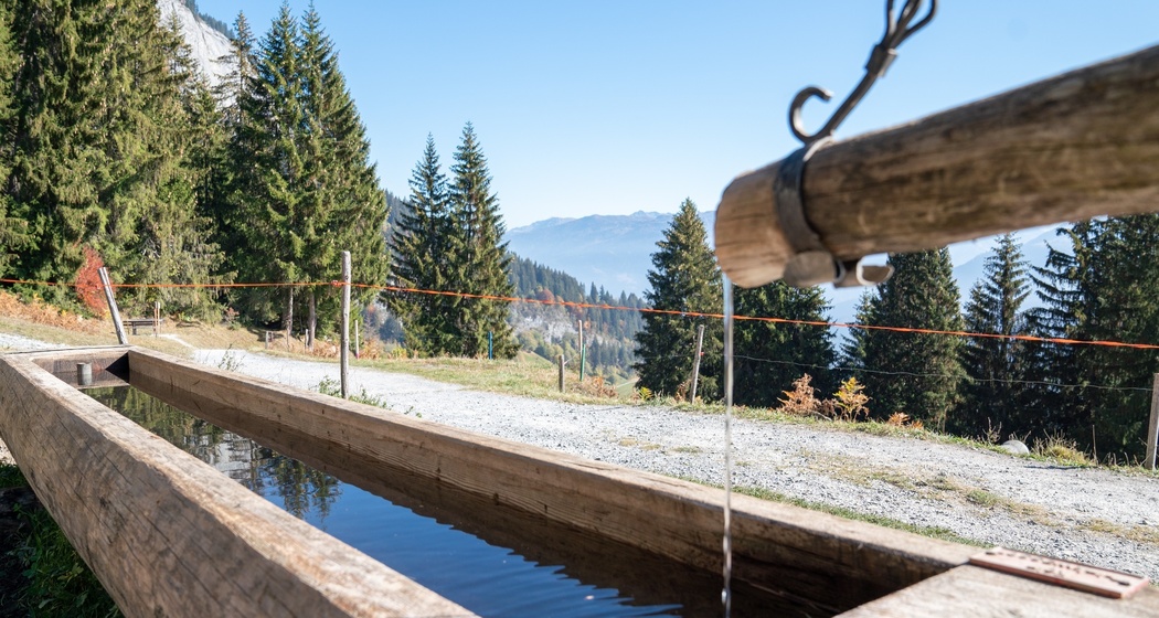 Höhenweg Foppa - Scheia - Fidaz - Flims