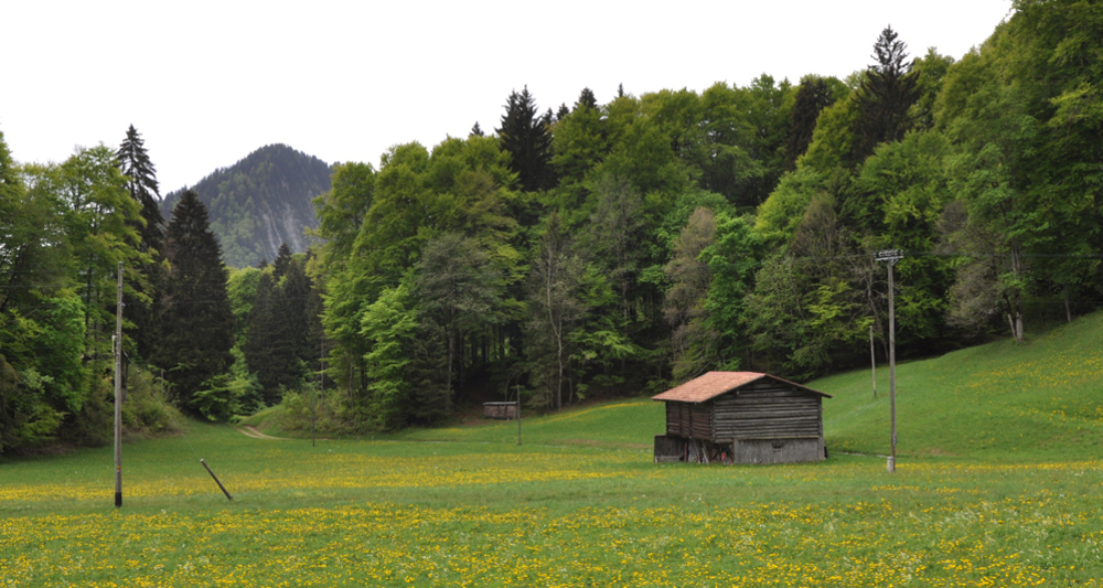Das idyllische Islatal in Seewis