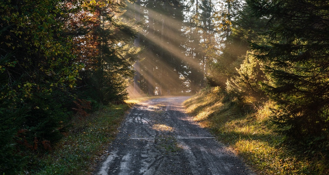 Staderas - Val Gronda - Salums - Laax