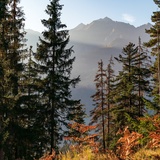 Staderas - Val Gronda - Salums - Laax