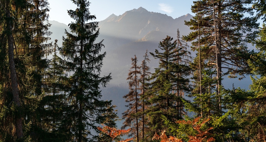 Staderas - Val Gronda - Salums - Laax