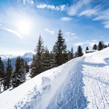 Schlittel- und Winterwanderweg Dros - Schlittelbar - Lohn/Mathon