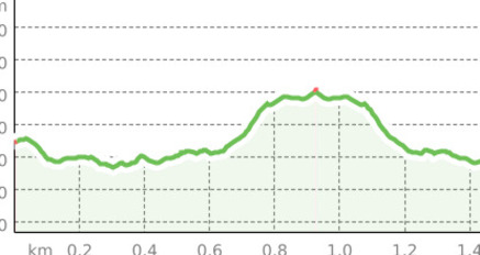 Blumenweg Fanas - über 30 Blumenarten entdecken! (oua_3467661_792d20d_profile)