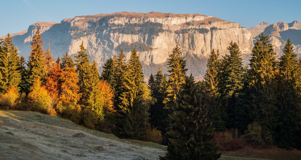 Rundwanderung: Caumasee - Rheinschlucht "Swiss Grand Canyon"