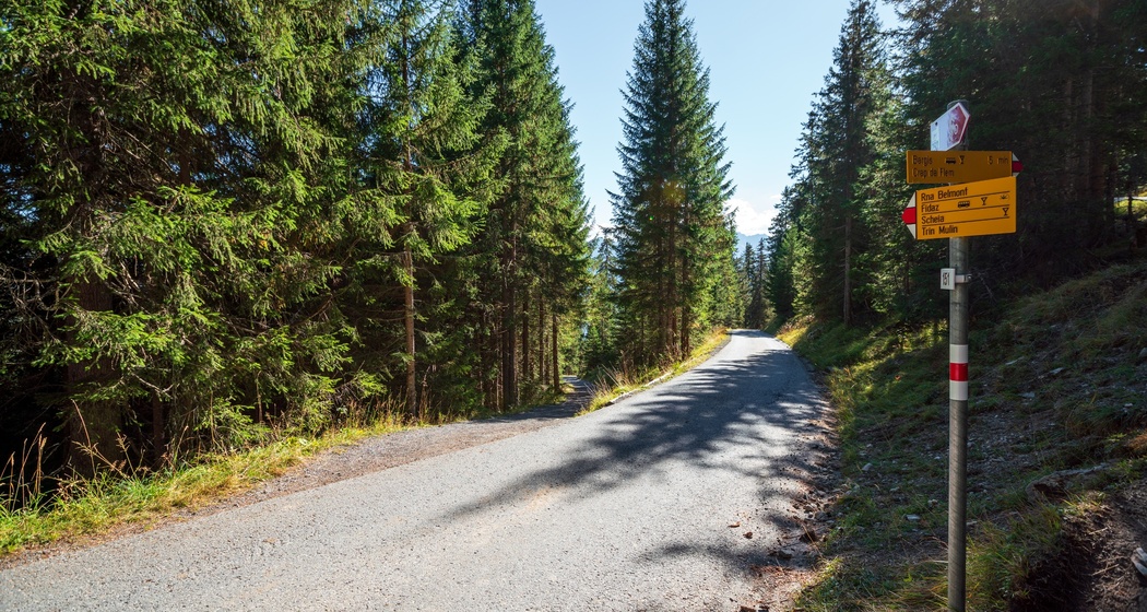 Bargis - Fidaz - Flims