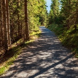 Bargis - Fidaz - Flims