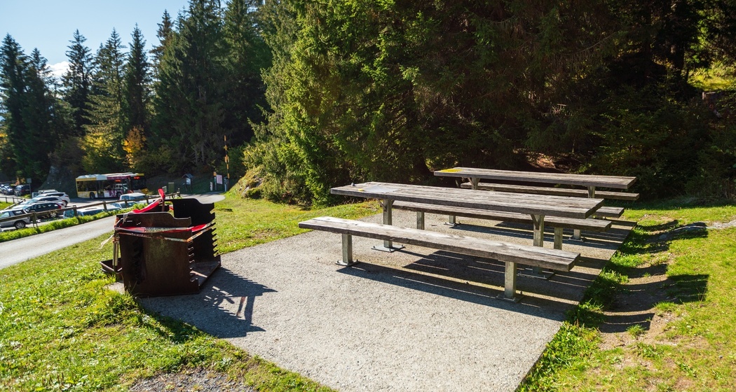 Bargis - Fidaz - Flims