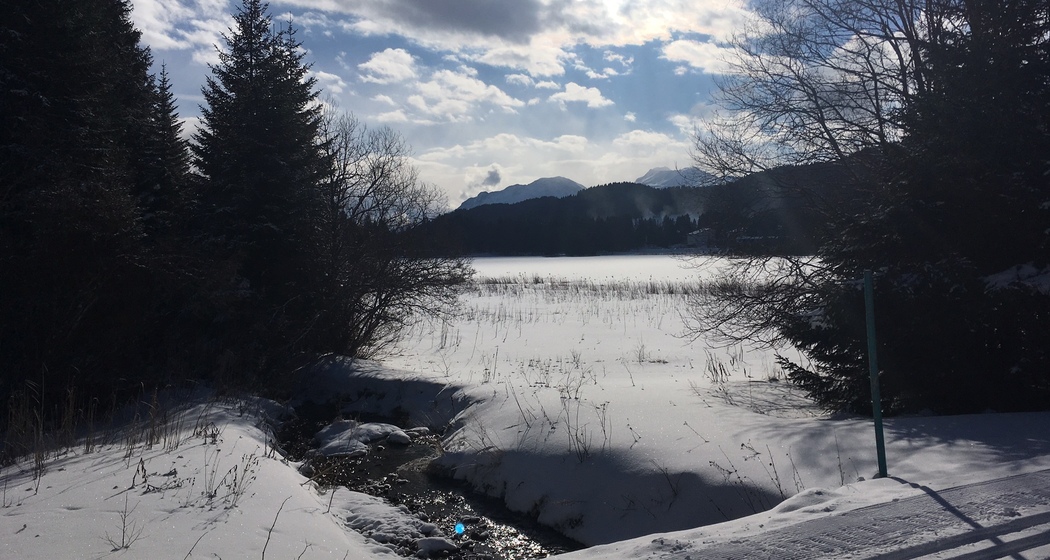 Loipe entlang des Heidsees