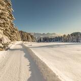 Winterwandern Flumserberg