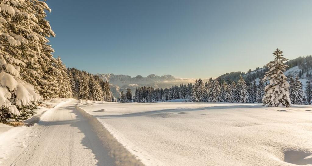 Winterwandern Flumserberg