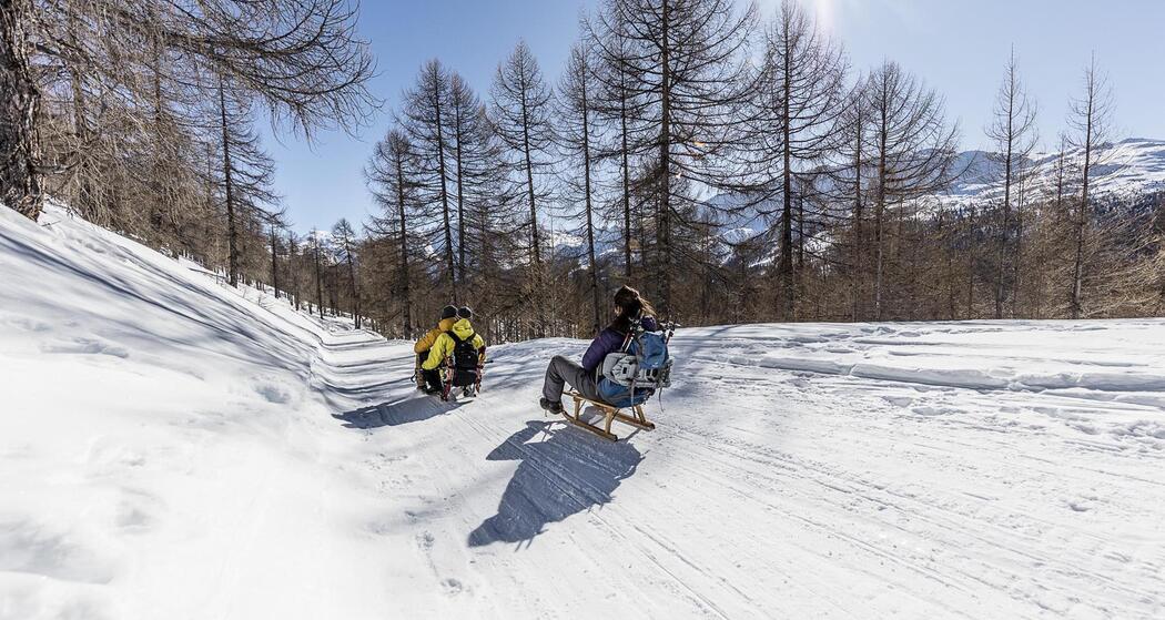 Schlittelweg nach Tschierv