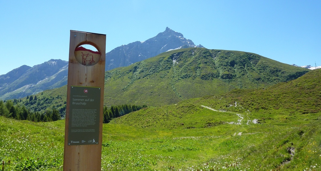 Sommer auf der Bruuchalp