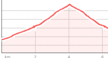 Flüelapass – Schwarzhorn (retour) (oua_35225069_300178a_profile)