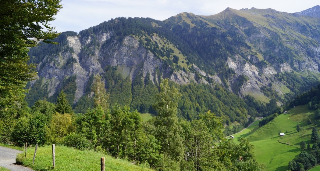 Flysch bei Weisstannen