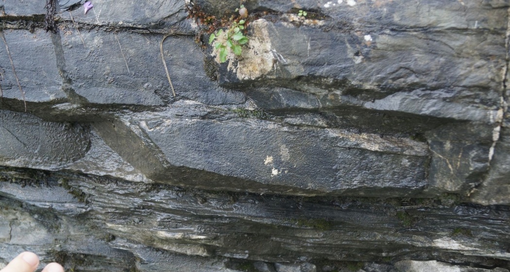 Flysch am Hüenerspitz