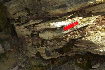 Arenaria sulla Baseggla