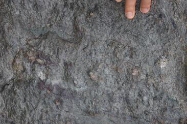 Verrucano am Alpichopf (oua_35258603_image)