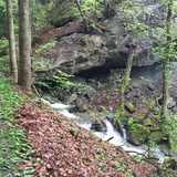 cantone di Fluppibach