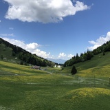 Hochplateau St.Margrethenberg