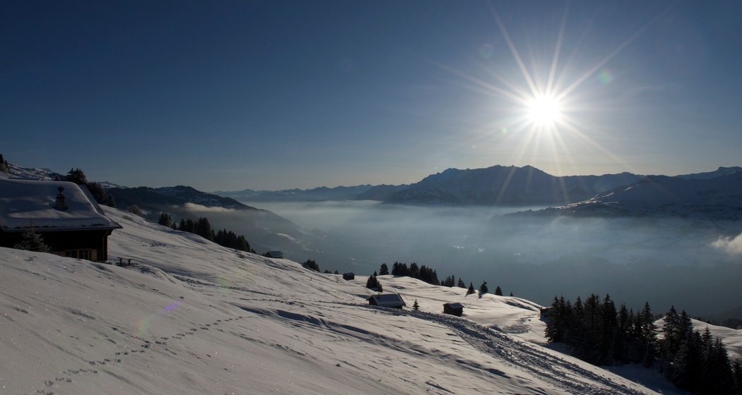 Schlitteln Alp Dado - Waltensburg (oua_35504369_image)