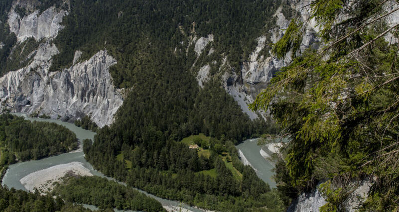 Sommer Rheinschlucht