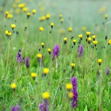 Forscherparcours Alp Flix - nicht verfügbar