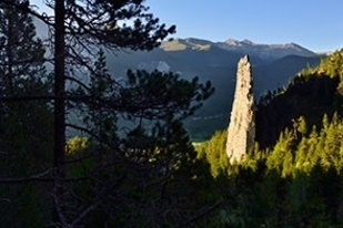 Sentiero dei Pionieri 07: Riserva Naturale Forestale