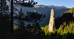 Pfad der Pioniere 07: Naturwaldreservat