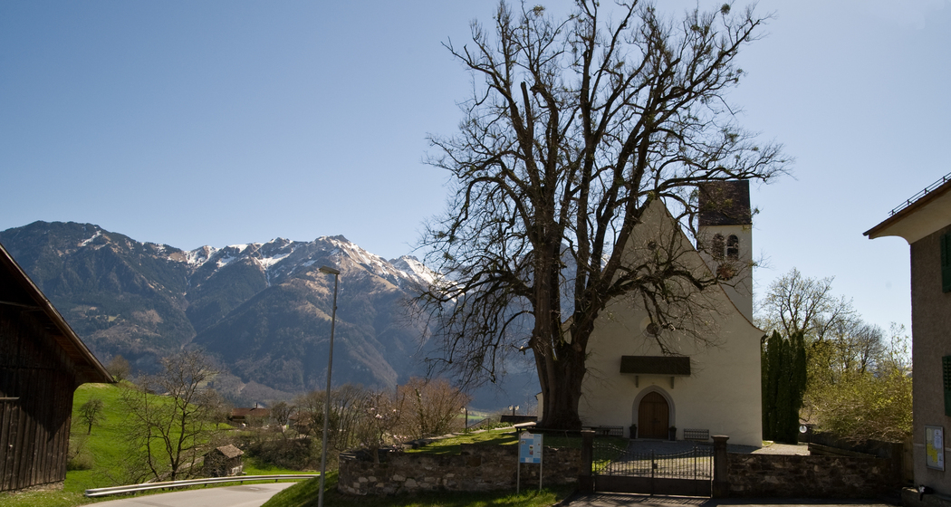Pestlinde vor der Kirche