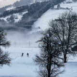 Langlaufloipe zwischen Schiers und Grüsch
