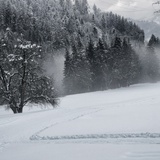 Langlaufloipe zwischen Schiers und Grüsch