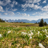 View of the Madils plateau