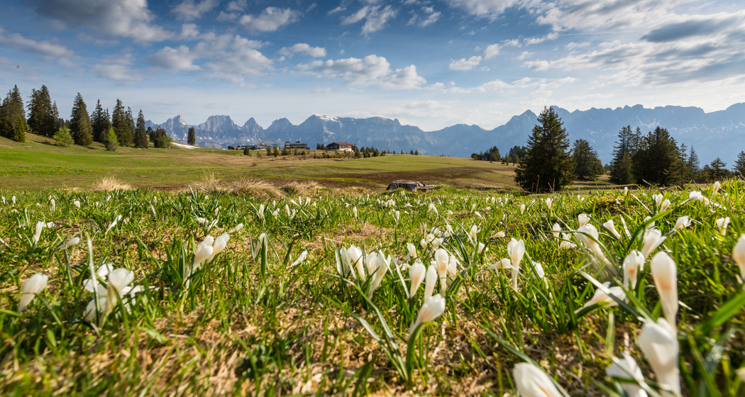 Blick auf die Hochebene Madils