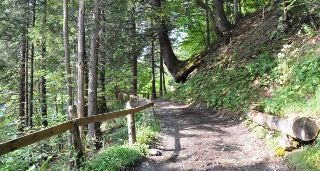 Den strengsten Abschnitt geschafft