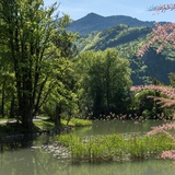 Der Giessenpark im Sommer
