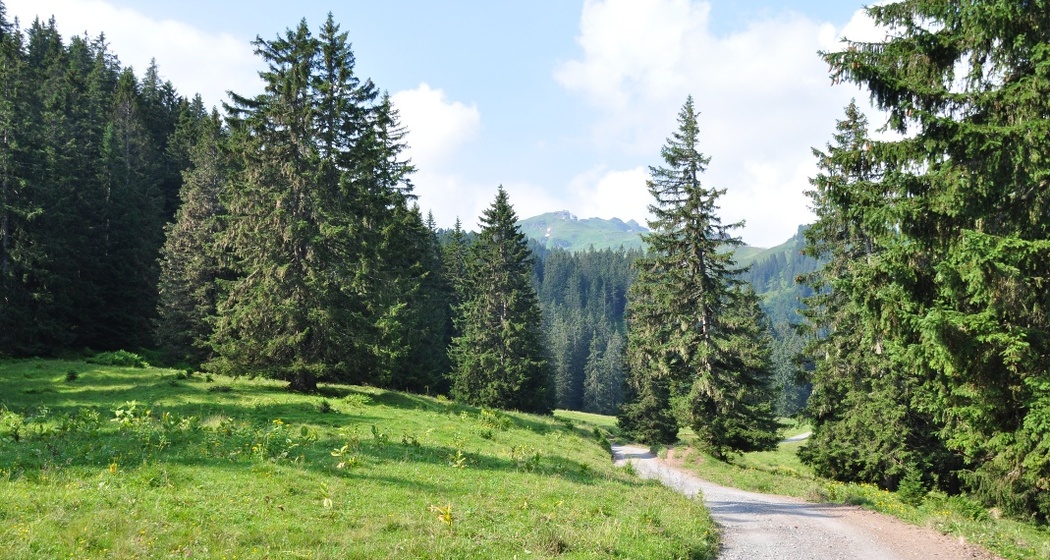 Der Weg ist das Ziel