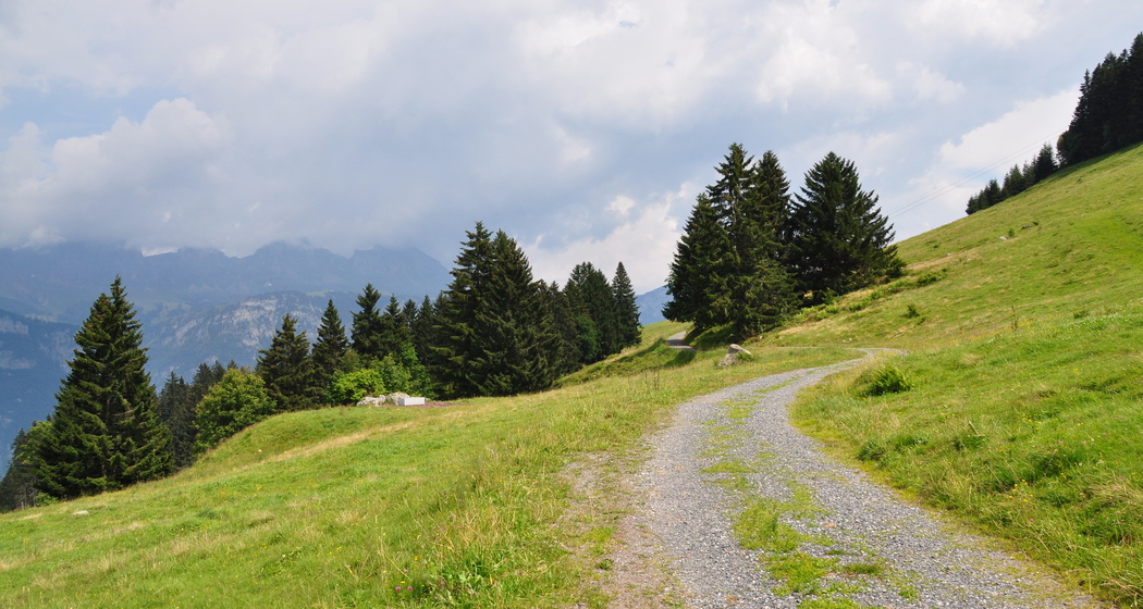 Der sogenannte 13-er Höhenweg