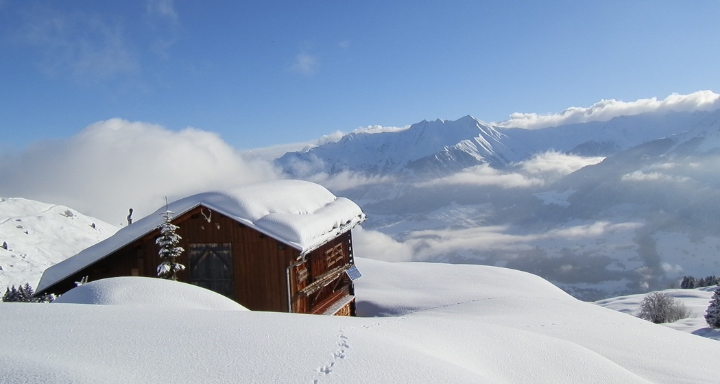 Schlittelweg Patiarm - Vignogn