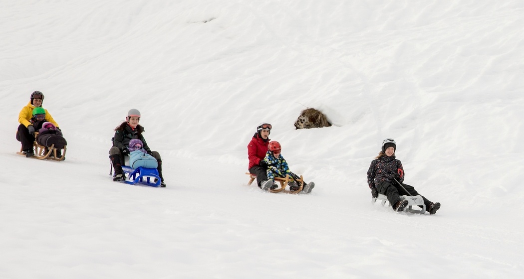 Schlittelweg Patiarm - Vignogn